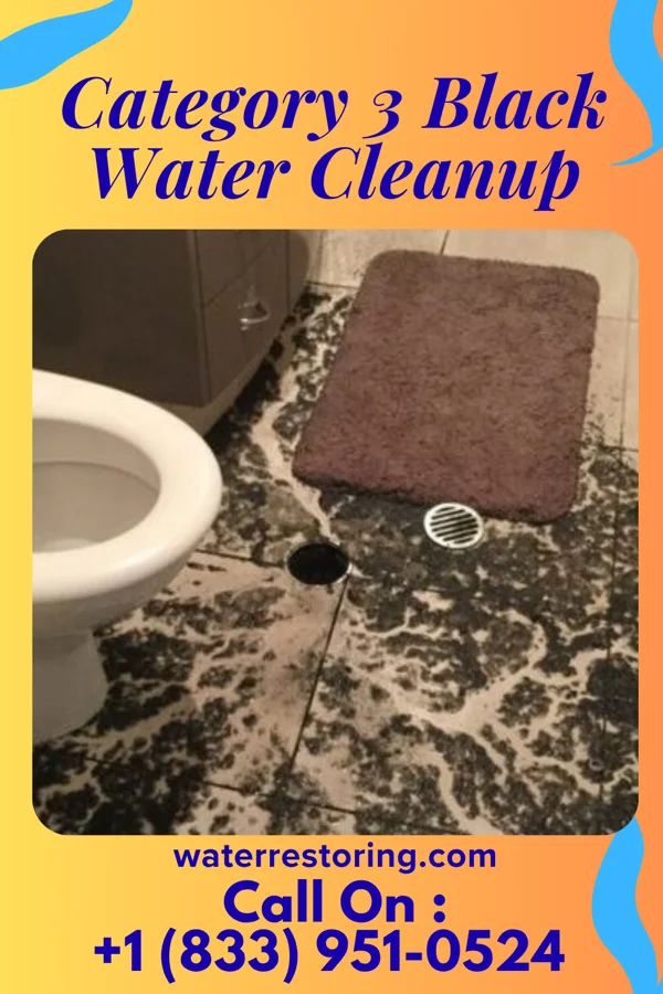 Category 3 Black Water Cleanup in Hoyleton, IL