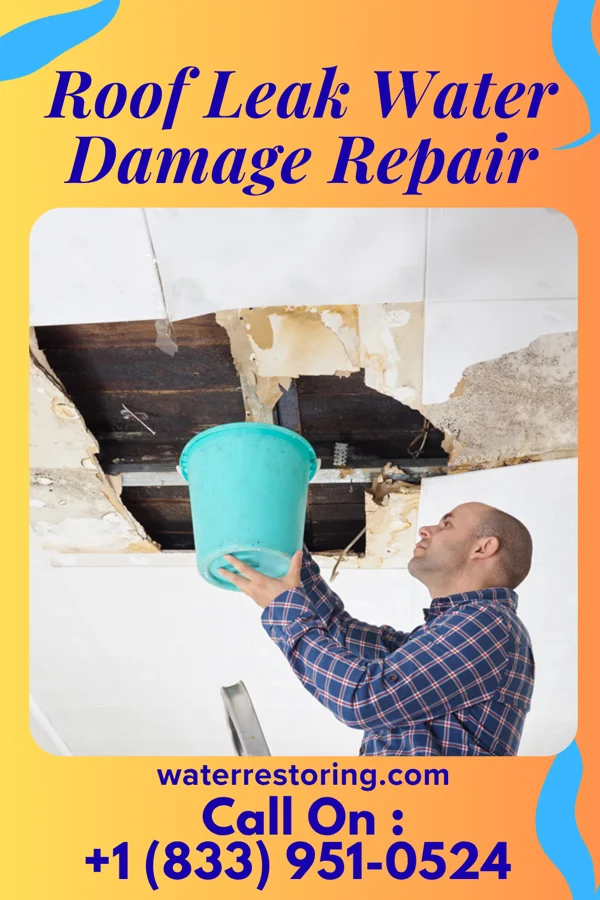 Roof Leak Water Damage Repair in Hoyleton, IL